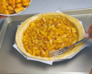 fill in the pie evenly
