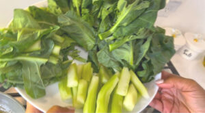 ready to boil