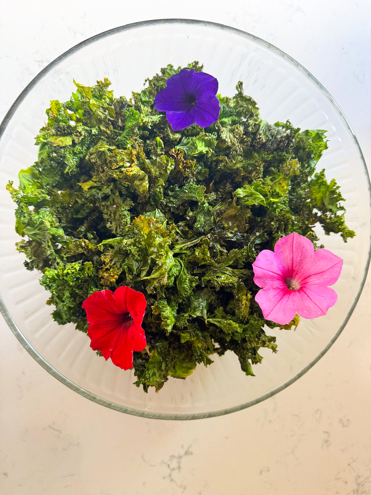 Easy 6 minutes Kale Chips in the Air Fryer