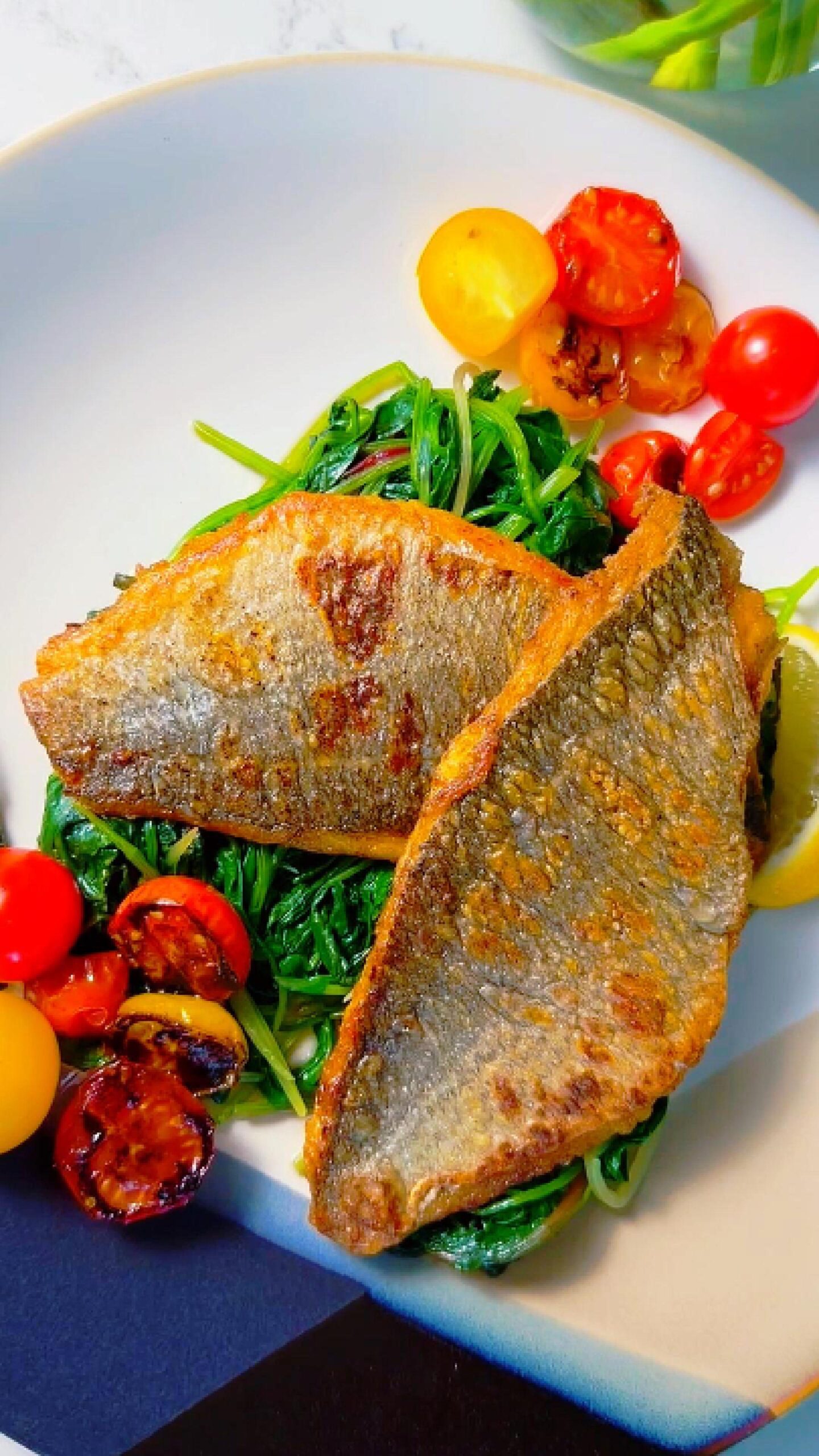 pan seared sea bream