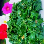 Collard Green side dish
