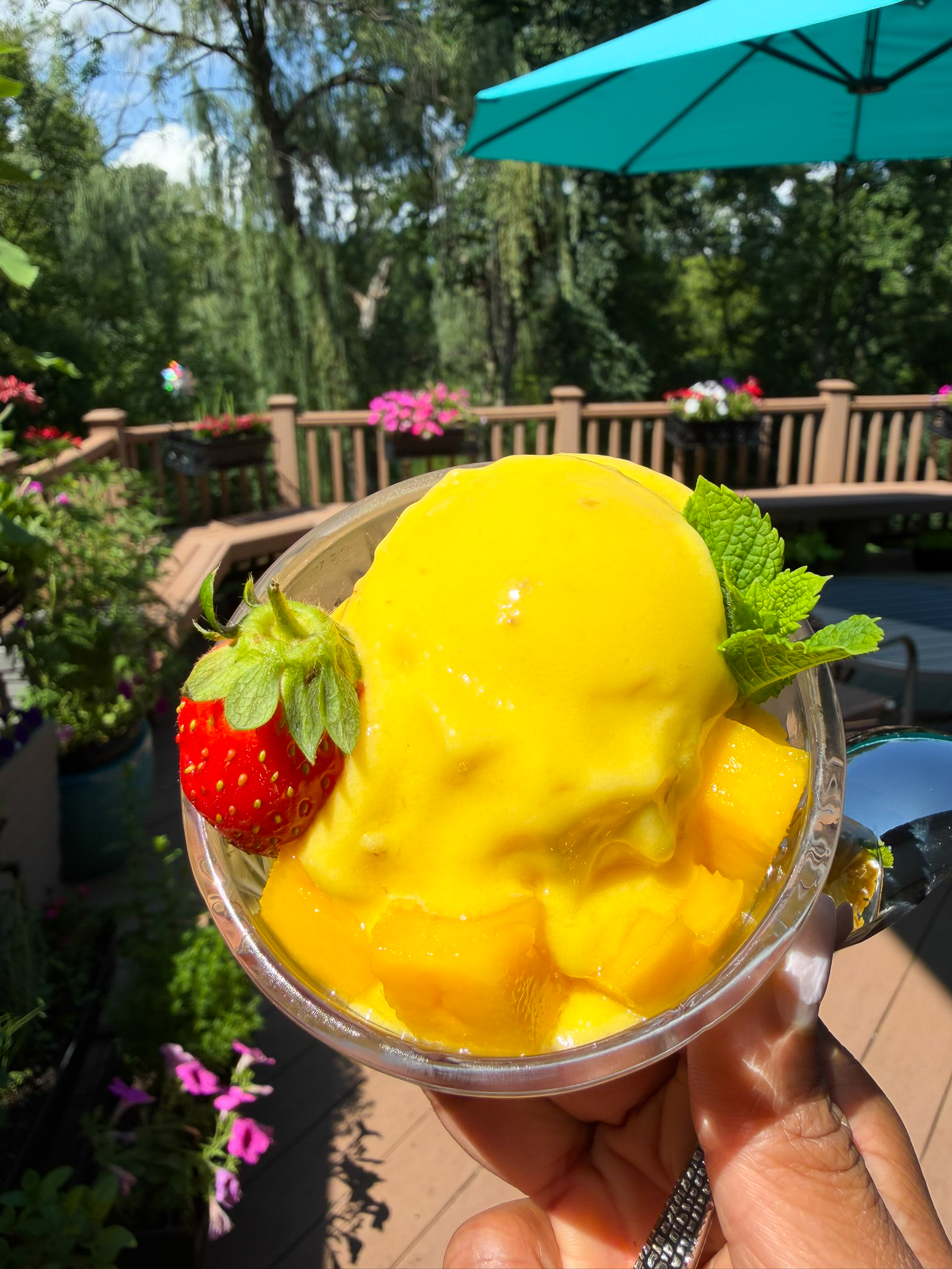 Banana & Mango Ice Cream (Dairy-Free)