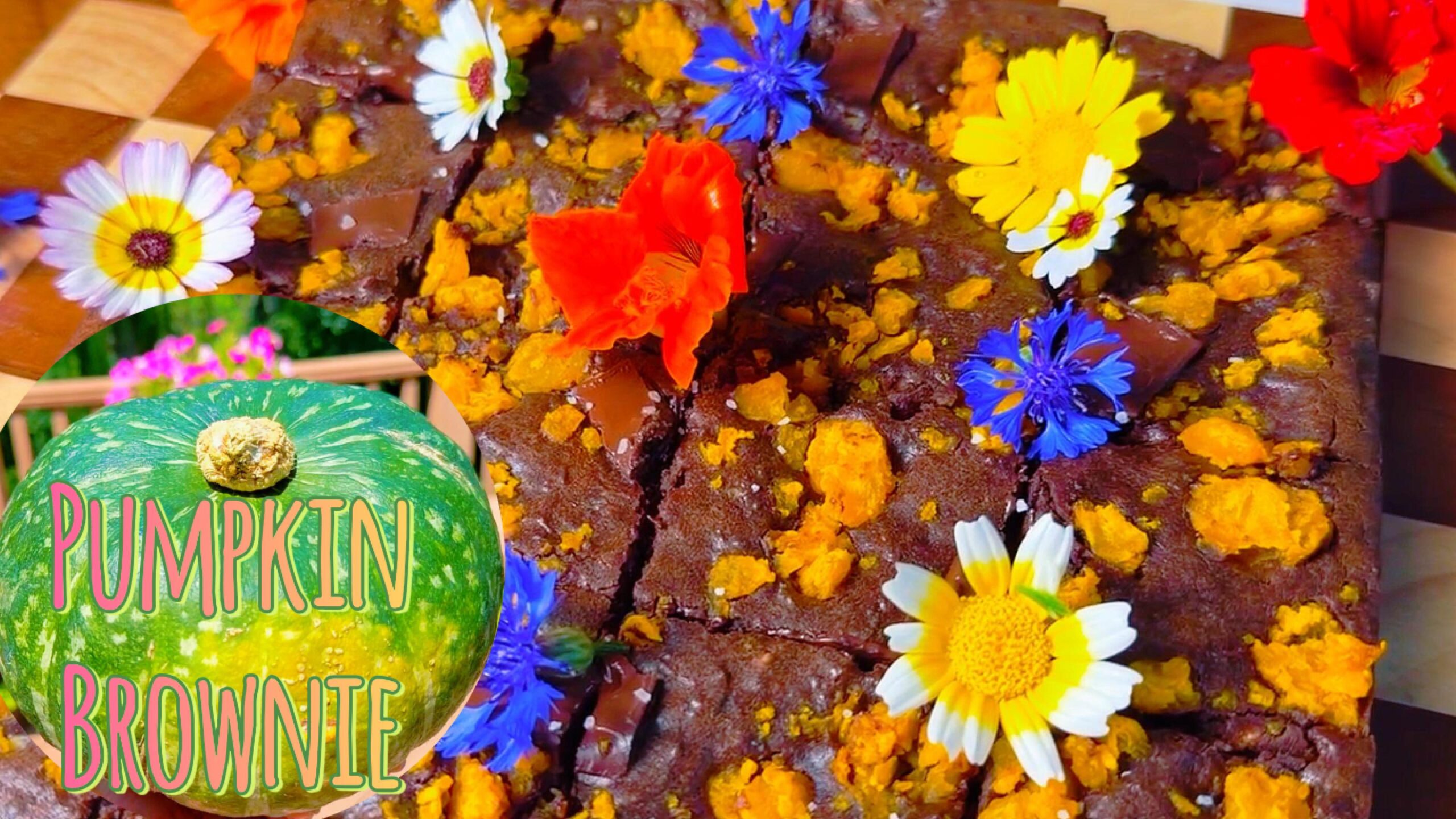 pumpkin brownie